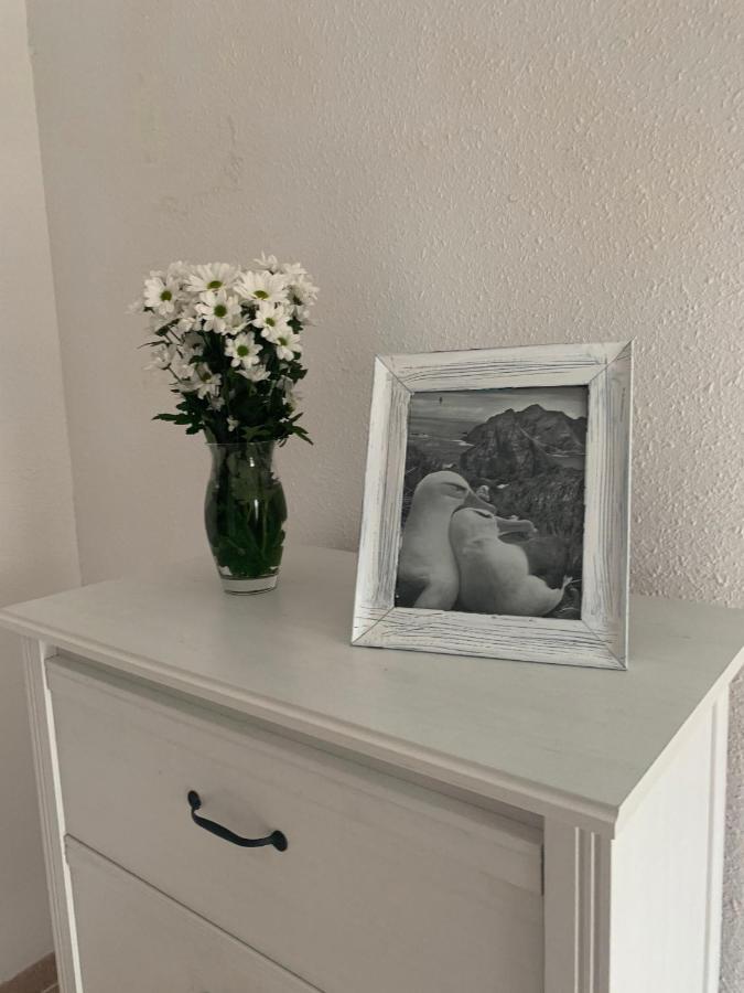 Villa Violeta 라 라구나 외부 사진